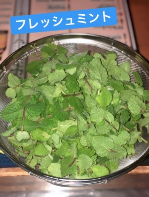 image2_5.jpeg